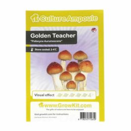 Zarodniki Golden Teacher – ampułka
