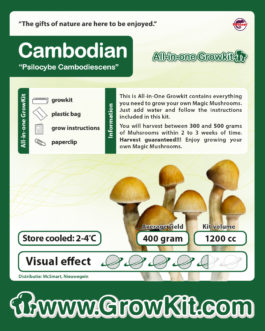Growkit Cambodian