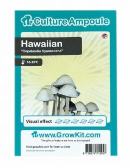 Zarodniki Hawaiian – ampułka