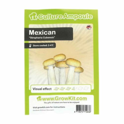 Zarodniki Mexican - ampułka