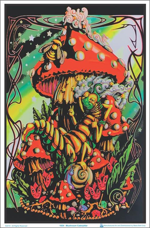 Plakat UV "mushroom-caterpillar"
