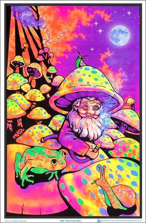 Plakat UV „mushroom man”