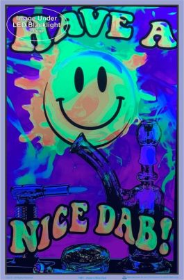Plakat UV „have a nice dab”