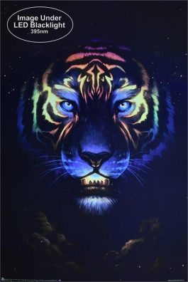 Plakat UV „Tiger by jojoe”