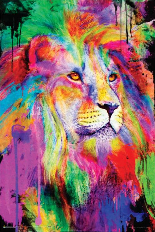 Plakat UV „Rainbow King by Aimee Stewart”