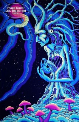 Plakat UV „Tree Spirit by Space Tribe”