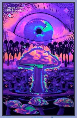 Plakat UV „mushrooms”
