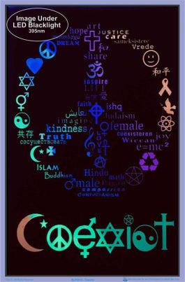 Plakat UV „coexist”