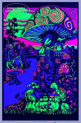 Plakat UV „mushroom magic”